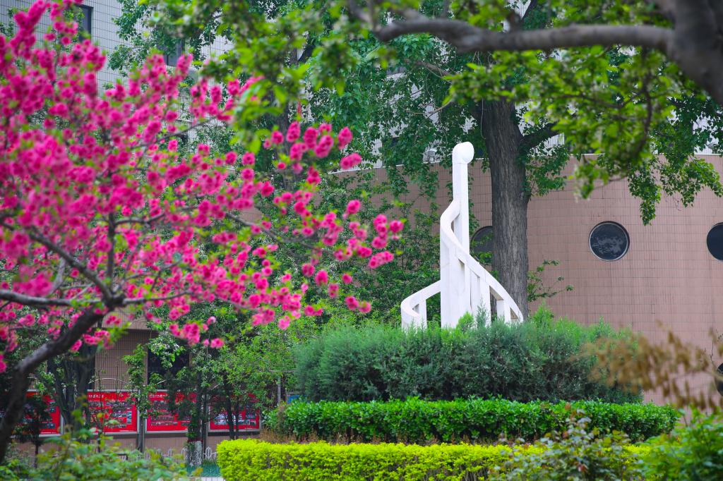 學校召開黨委巡察組巡察作曲指揮系黨總支情況反饋會